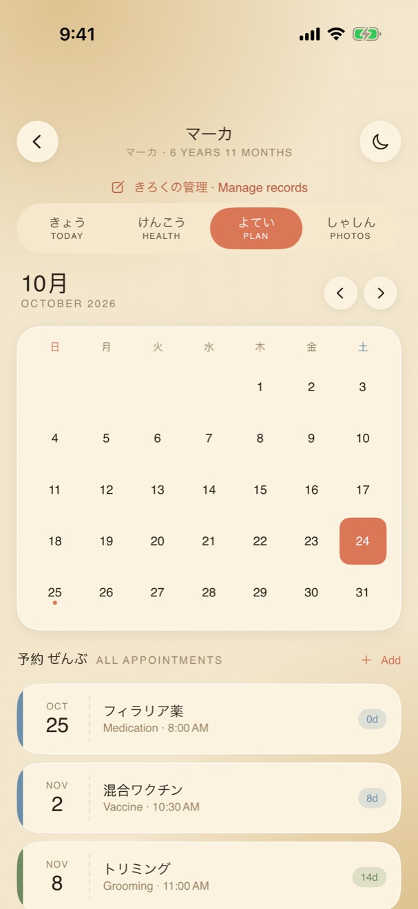Plan tab: October calendar and upcoming appointments